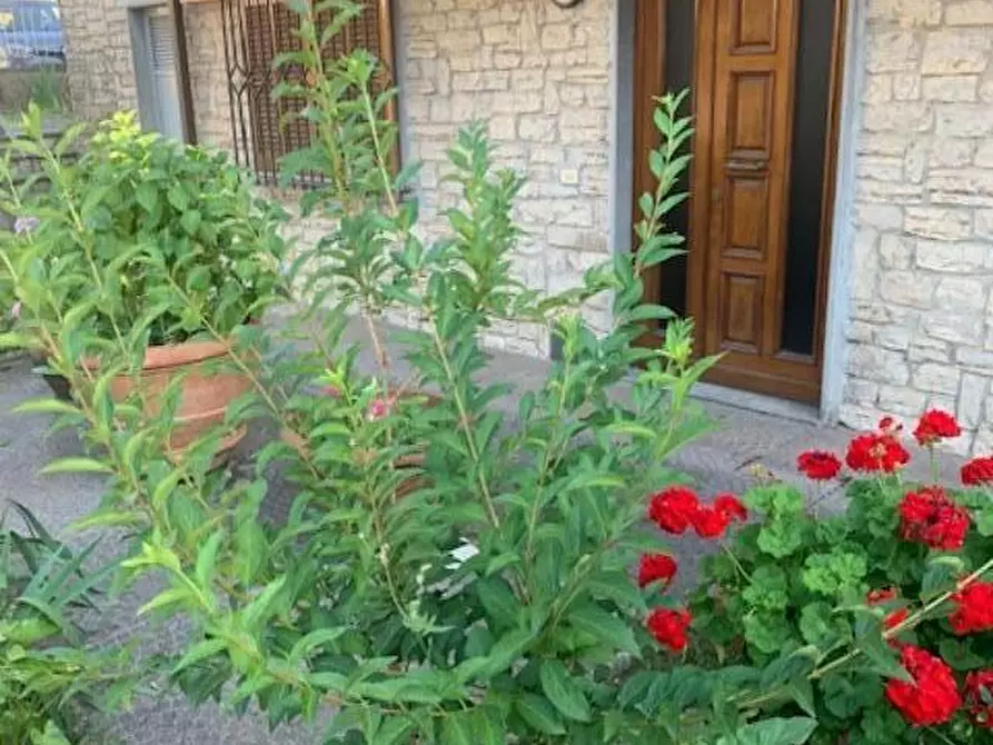 Immagine 1 di Casa indipendente in vendita  a Montecatini Terme