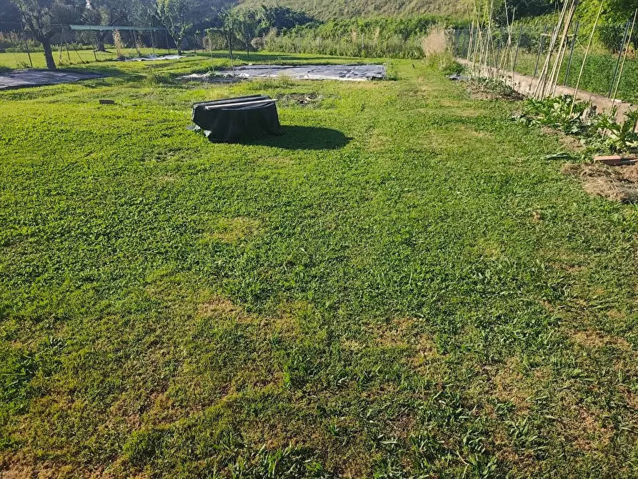 Immagine 41 di Appartamento in vendita  a Lucca