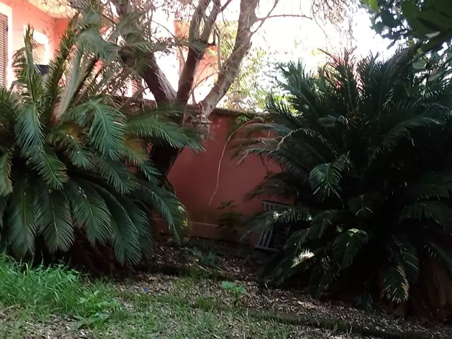 Immagine 14 di Villetta a schiera in vendita  a Calcinaia
