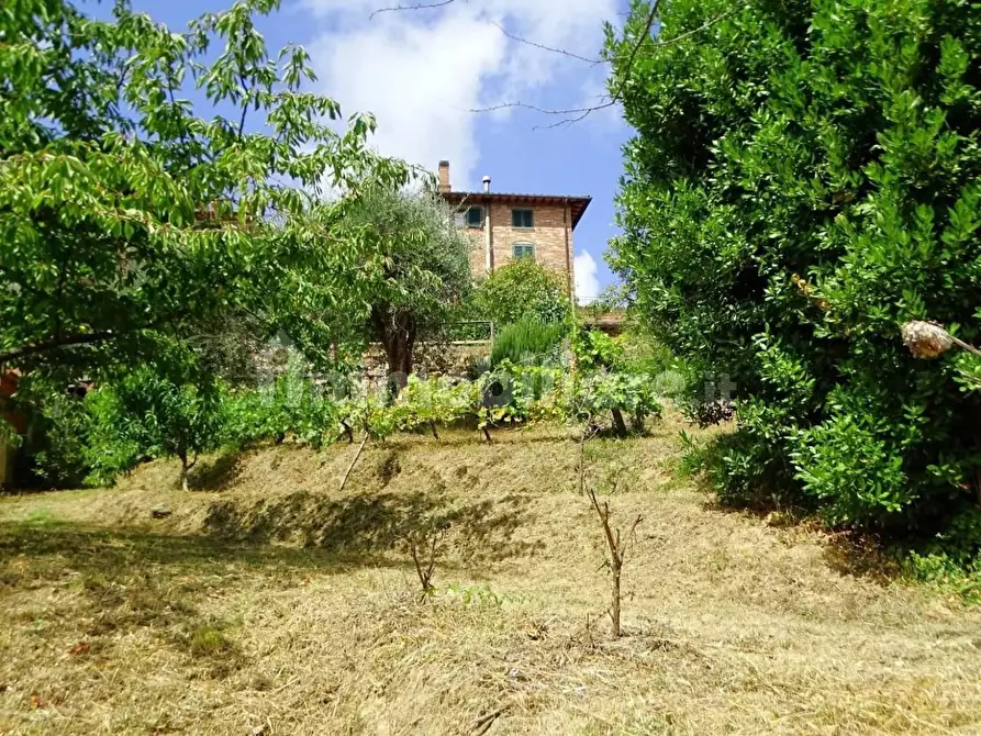 Immagine 9 di Villa in vendita  a Montopoli In Val D'arno