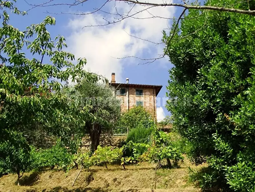 Immagine 8 di Villa in vendita  a Montopoli In Val D'arno