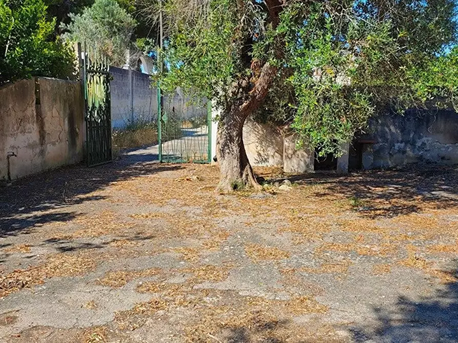 Immagine 17 di Villa in vendita  a Porto Cesareo