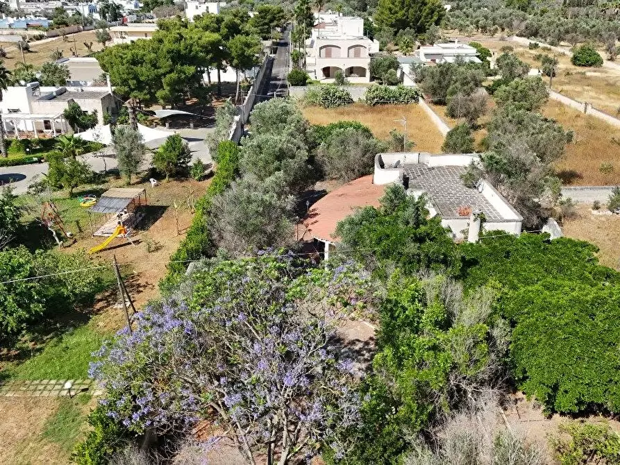 Immagine 13 di Villa in vendita  a Porto Cesareo