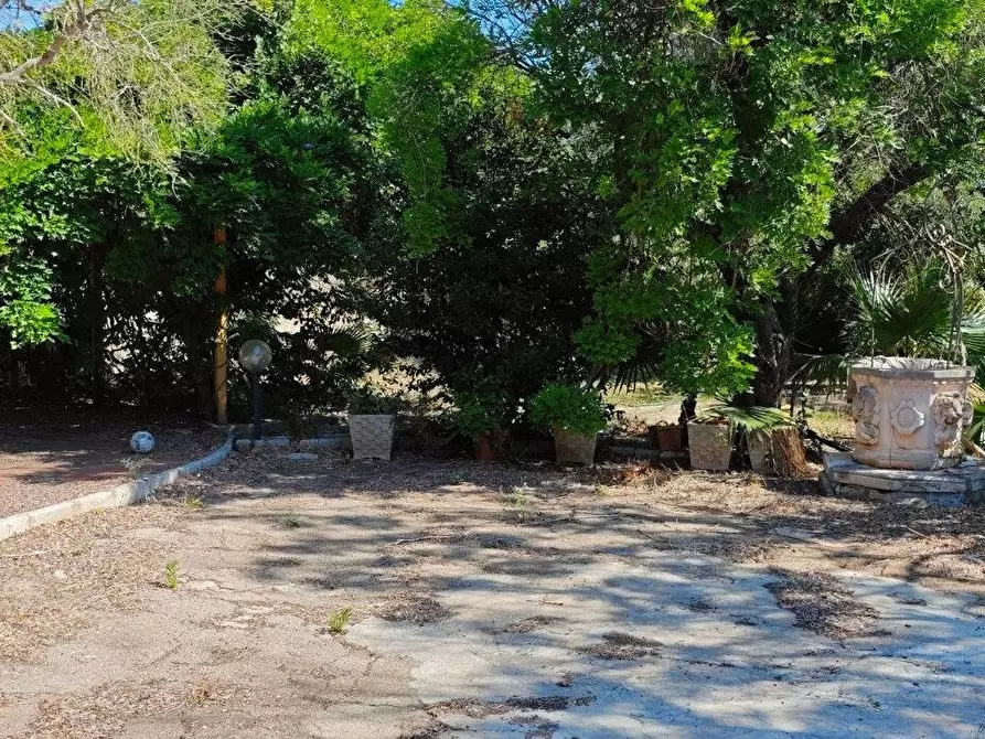 Immagine 14 di Villa in vendita  a Porto Cesareo