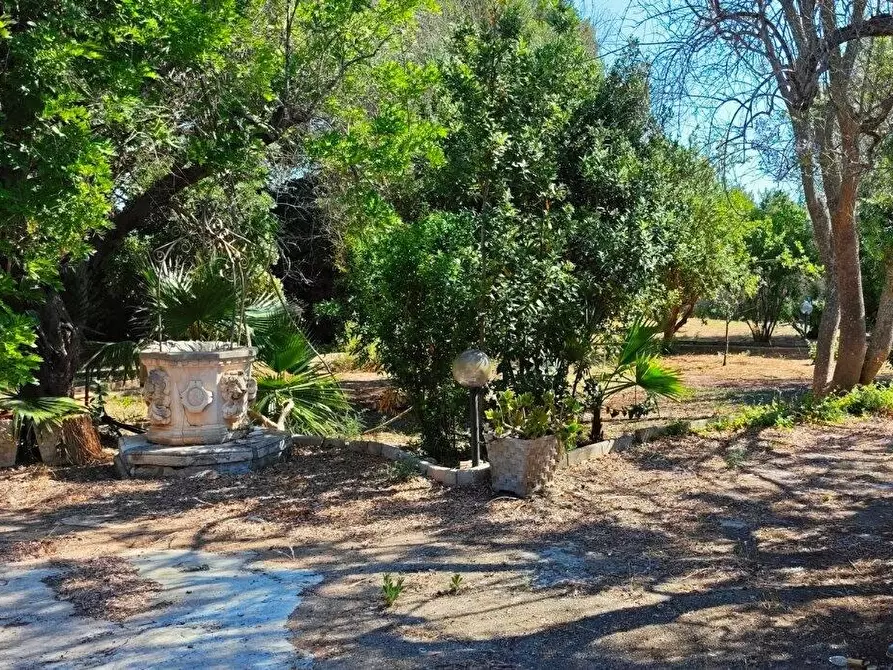 Immagine 3 di Villa in vendita  a Porto Cesareo