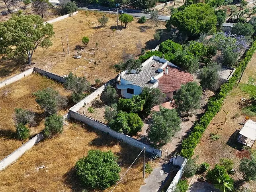 Immagine 2 di Villa in vendita  a Porto Cesareo