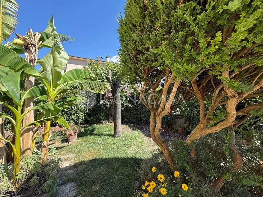 Immagine 45 di Appartamento in vendita  a Montopoli In Val D'arno