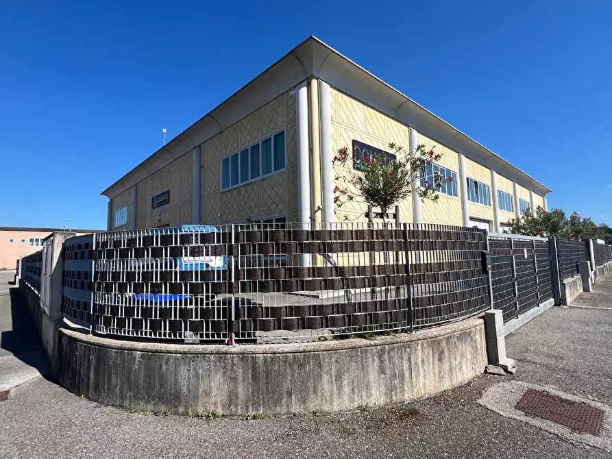 Immagine 18 di Attività artigianale in vendita  a Crespina Lorenzana