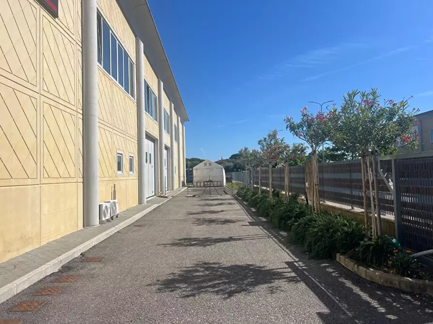 Immagine 10 di Attività artigianale in vendita  a Crespina Lorenzana