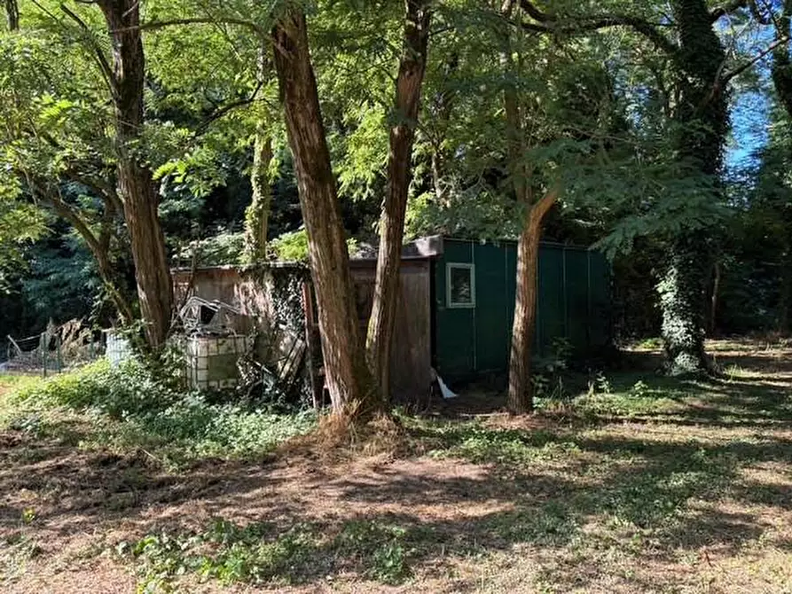 Immagine 1 di Baita in vendita  a Buti
