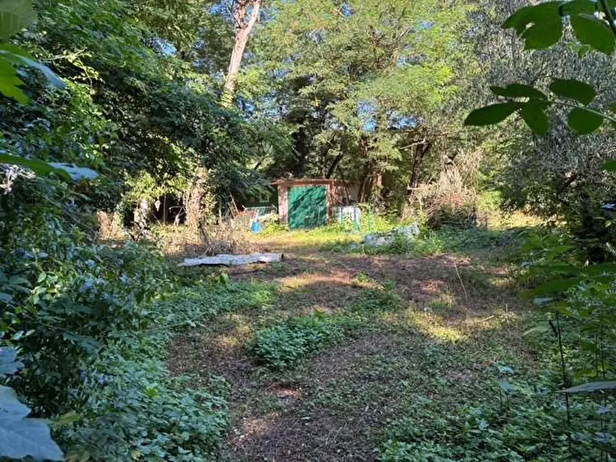 Immagine 5 di Baita in vendita  a Buti