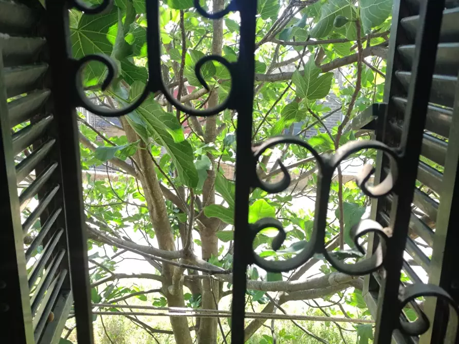Immagine 1 di Appartamento in vendita  a Castelnuovo Berardenga