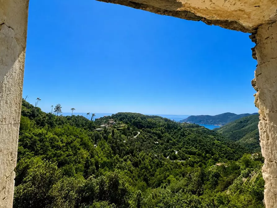 Immagine 12 di Terratetto in vendita  a Vernazza