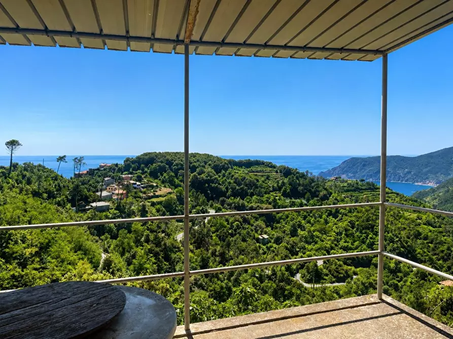 Immagine 1 di Terratetto in vendita  a Vernazza