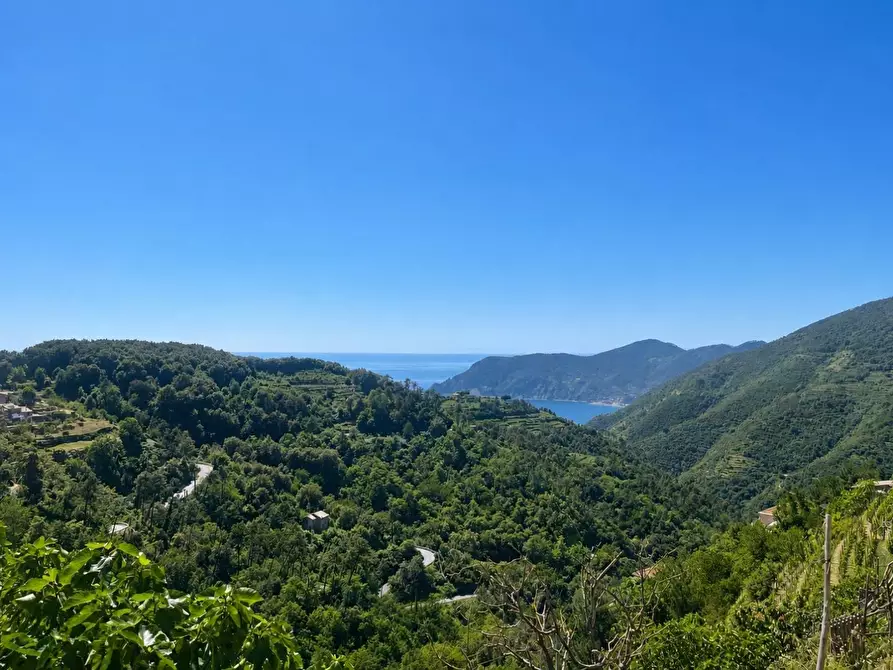 Immagine 3 di Terratetto in vendita  a Vernazza