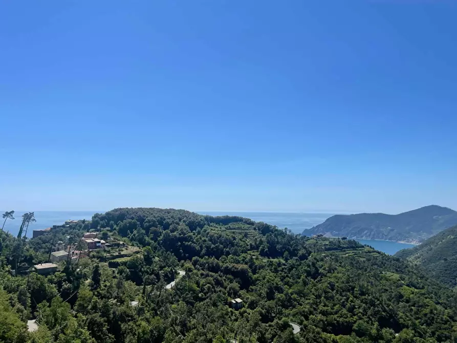Immagine 14 di Terratetto in vendita  a Vernazza