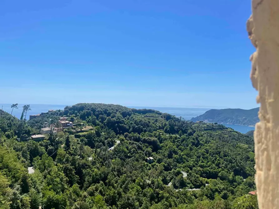 Immagine 13 di Terratetto in vendita  a Vernazza