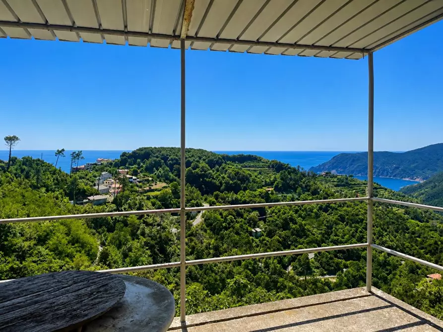 Immagine 23 di Terratetto in vendita  a Vernazza