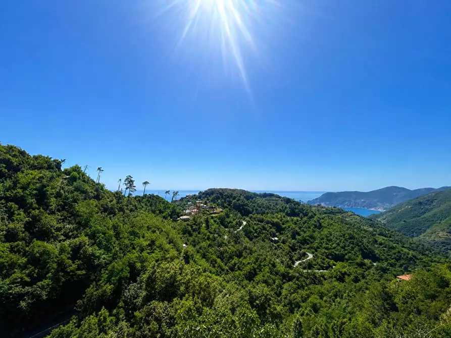 Immagine 25 di Terratetto in vendita  a Vernazza