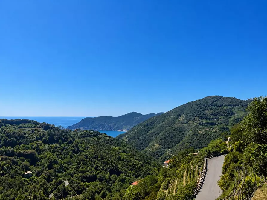 Immagine 24 di Terratetto in vendita  a Vernazza