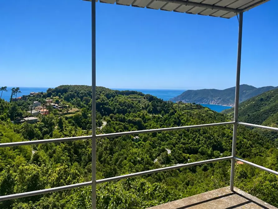 Immagine 2 di Terratetto in vendita  a Vernazza