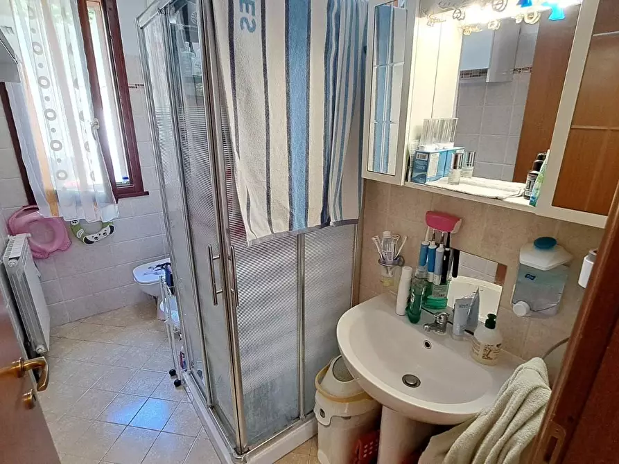 Immagine 14 di Appartamento in vendita  a Rosignano Marittimo
