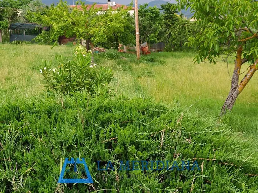 Immagine 2 di Terreno residenziale in vendita  a Larciano