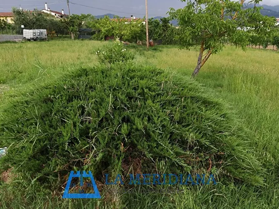 Immagine 3 di Terreno residenziale in vendita  a Larciano