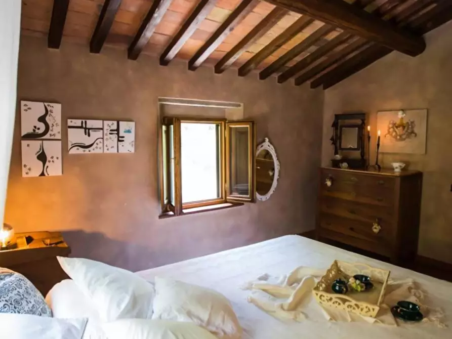 Immagine 12 di Casa colonica in vendita  a Vinci
