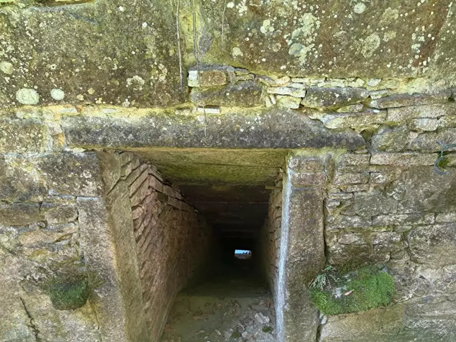 Immagine 24 di Casa colonica in vendita  a Vinci