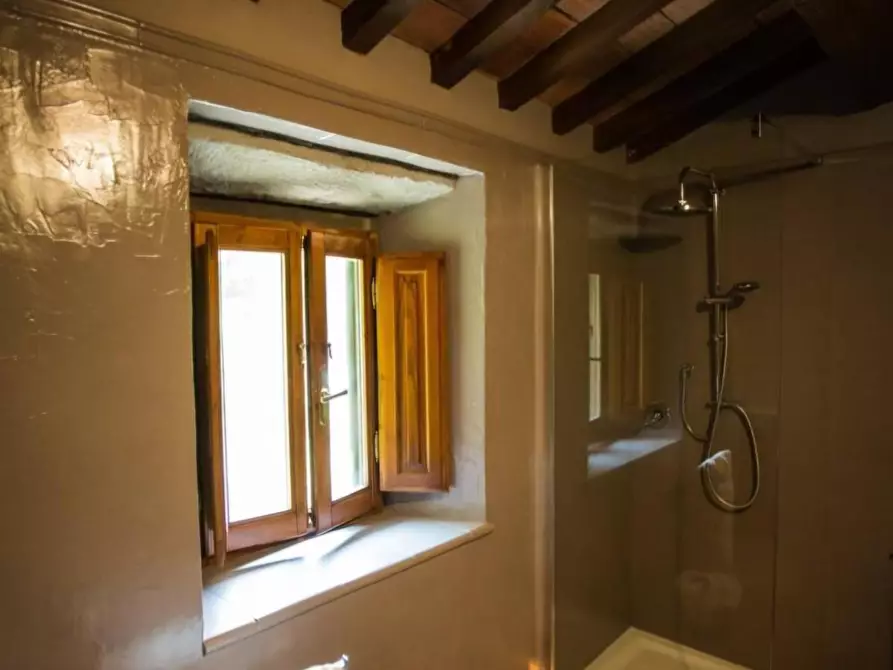 Immagine 10 di Casa colonica in vendita  a Vinci