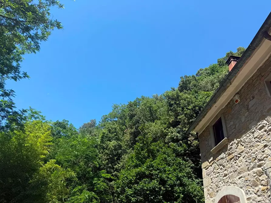 Immagine 27 di Casa colonica in vendita  a Vinci