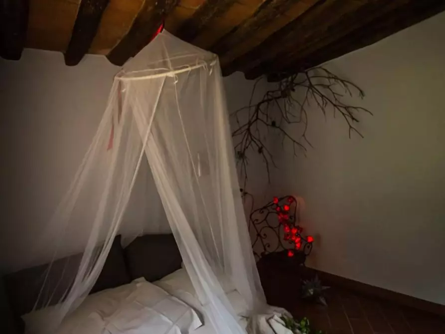 Immagine 6 di Casa colonica in vendita  a Vinci
