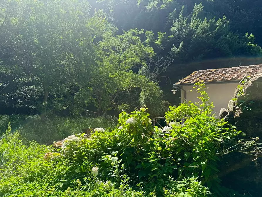 Immagine 23 di Casa colonica in vendita  a Vinci