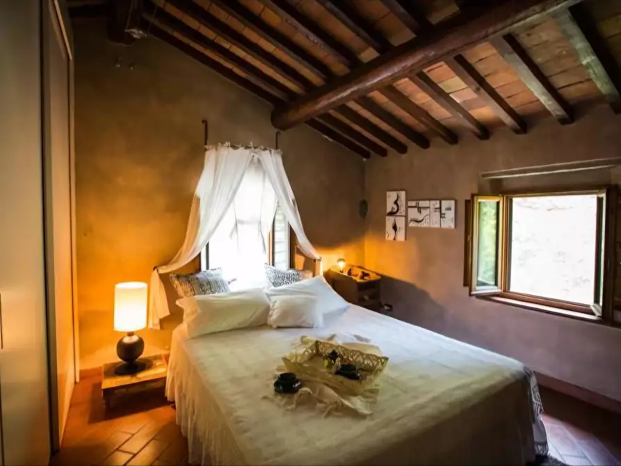 Immagine 2 di Casa colonica in vendita  a Vinci