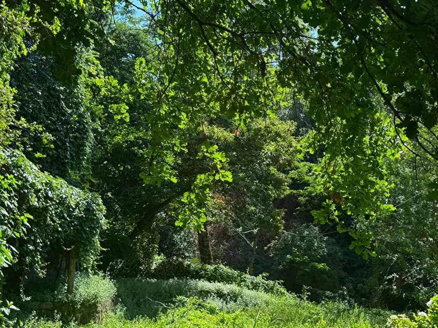 Immagine 26 di Casa colonica in vendita  a Vinci