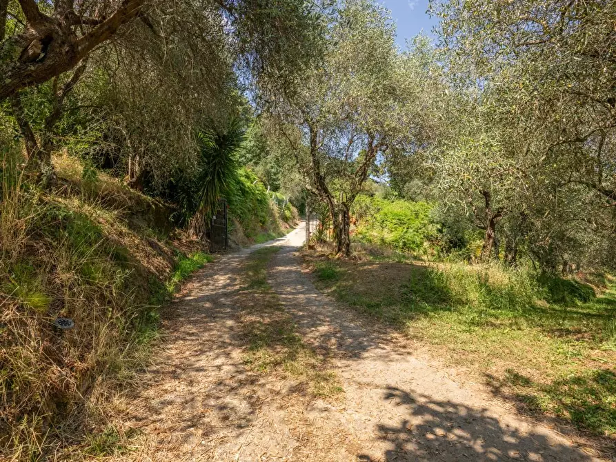 Immagine 46 di Rustico / casale in vendita  a Buti