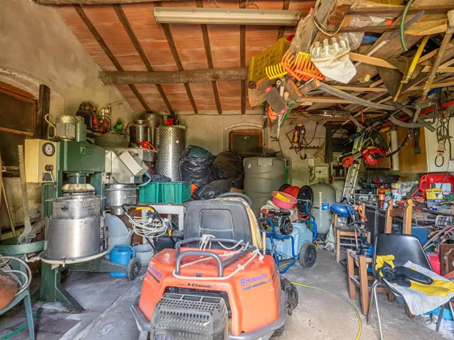 Immagine 44 di Rustico / casale in vendita  a Buti