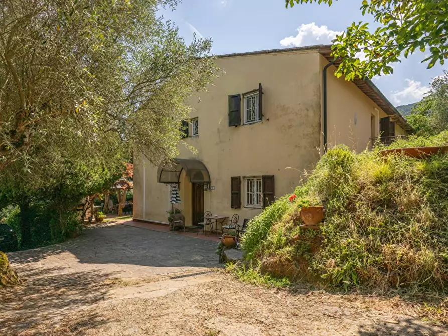 Immagine 1 di Rustico / casale in vendita  a Buti