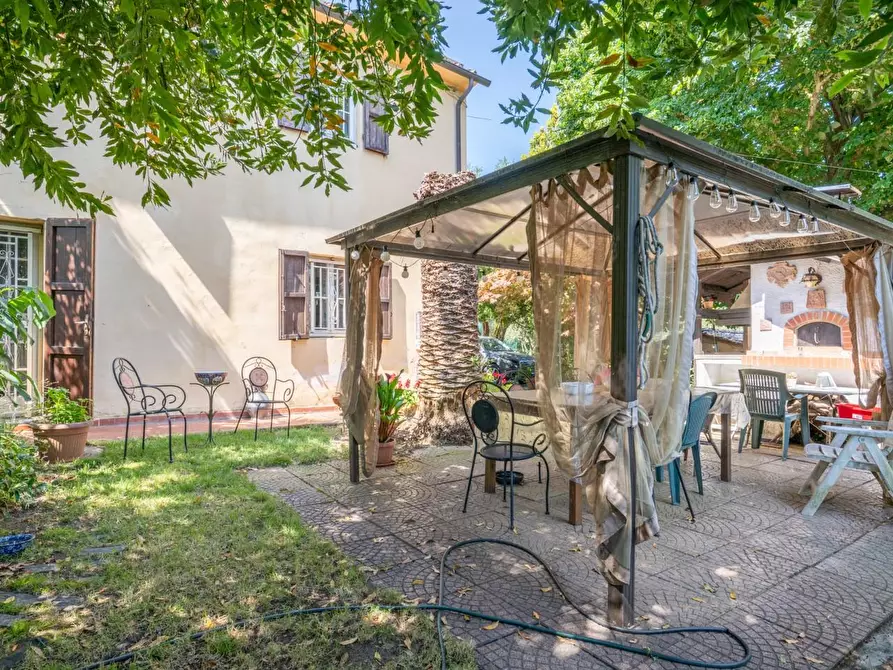 Immagine 38 di Rustico / casale in vendita  a Buti