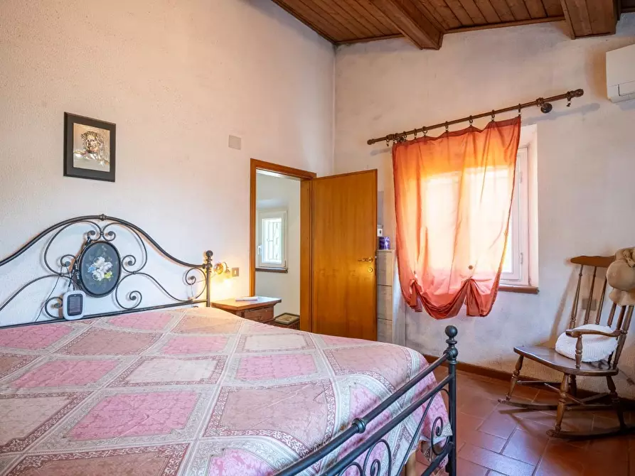 Immagine 19 di Rustico / casale in vendita  a Buti