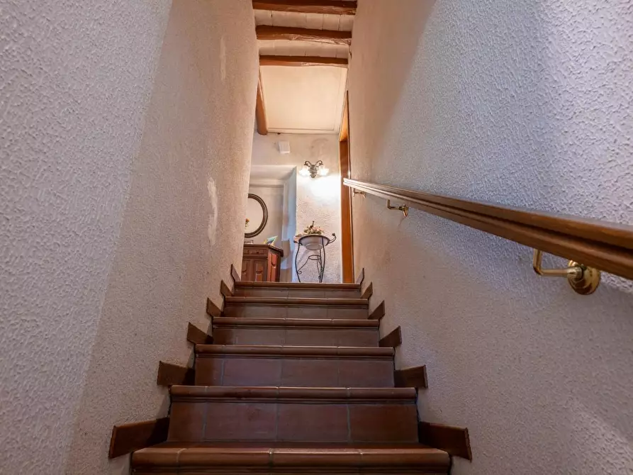 Immagine 25 di Rustico / casale in vendita  a Buti