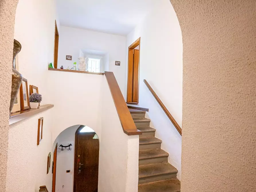 Immagine 35 di Rustico / casale in vendita  a Buti
