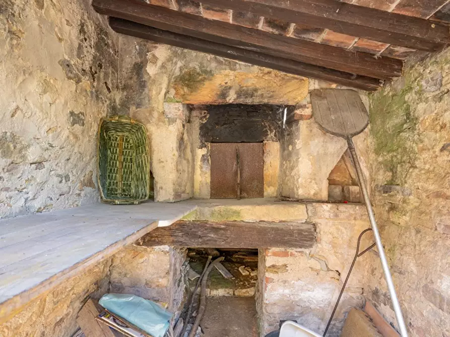 Immagine 49 di Rustico / casale in vendita  a Buti