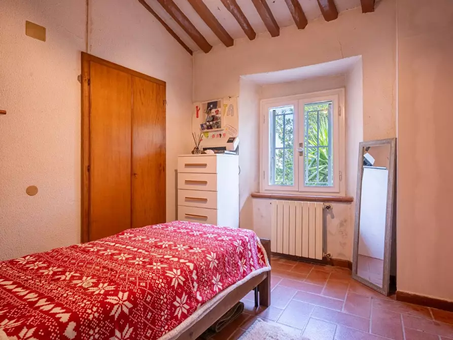 Immagine 26 di Rustico / casale in vendita  a Buti