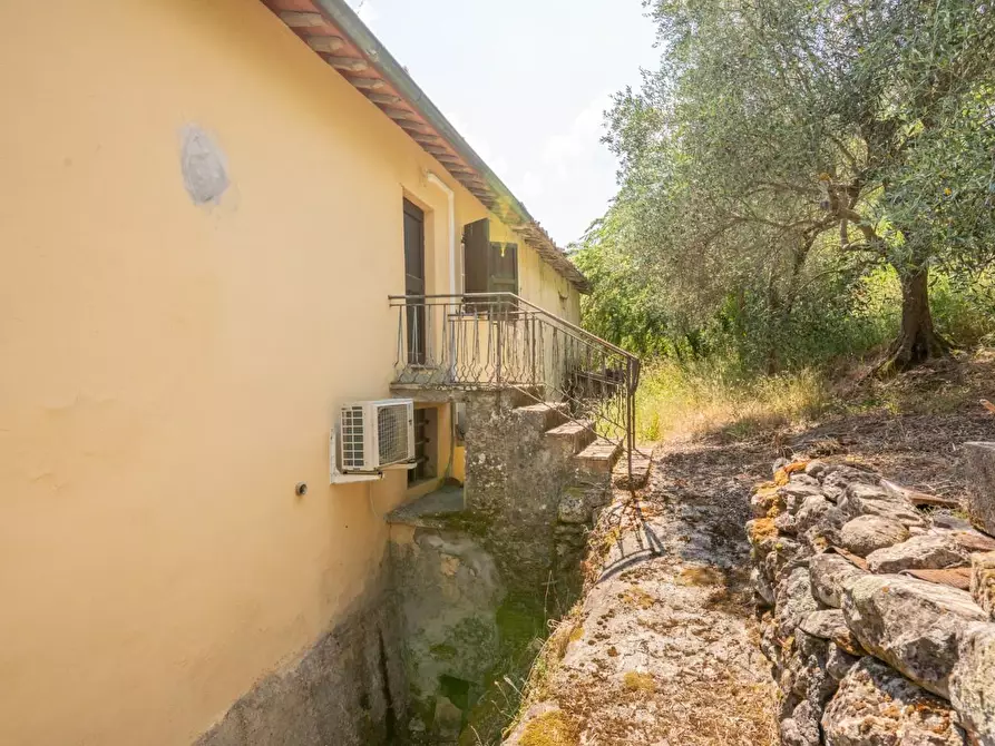 Immagine 50 di Rustico / casale in vendita  a Buti