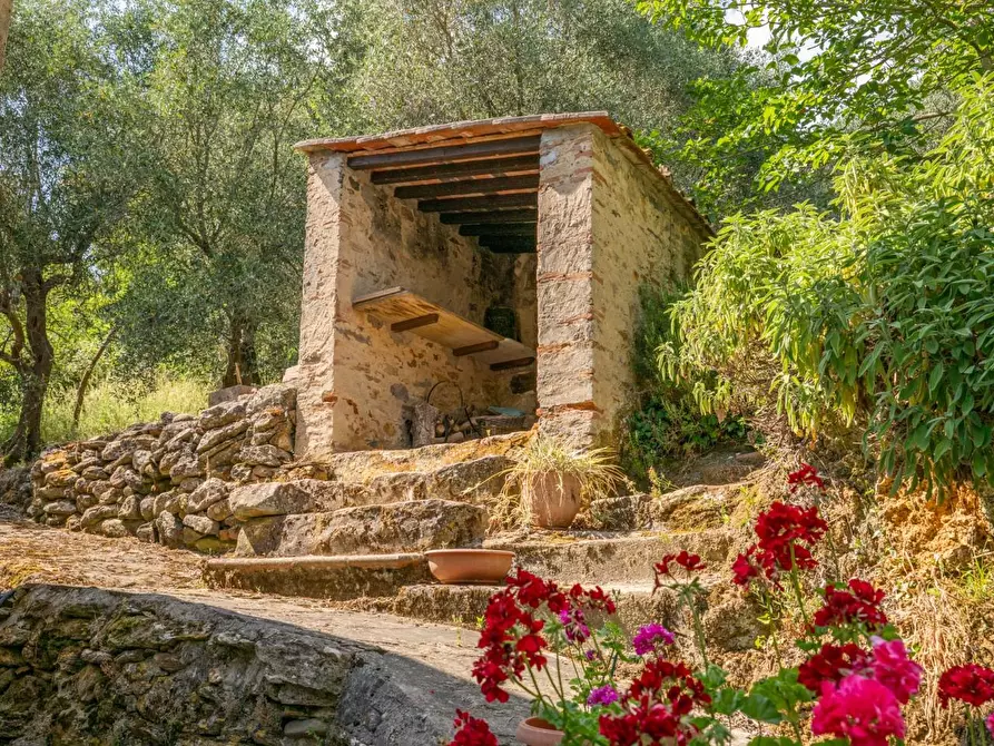 Immagine 51 di Rustico / casale in vendita  a Buti