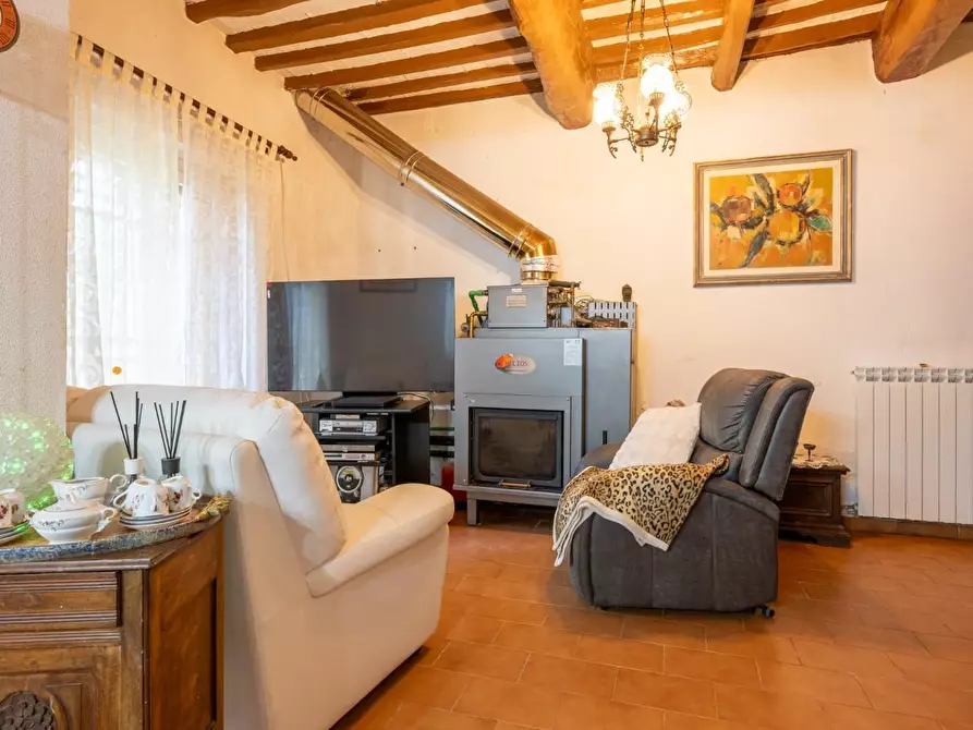 Immagine 5 di Rustico / casale in vendita  a Buti