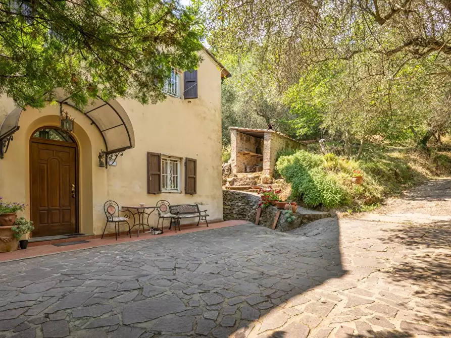 Immagine 2 di Rustico / casale in vendita  a Buti
