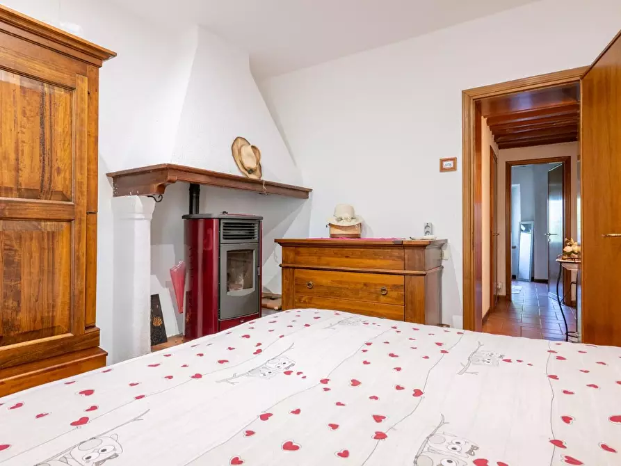 Immagine 31 di Rustico / casale in vendita  a Buti